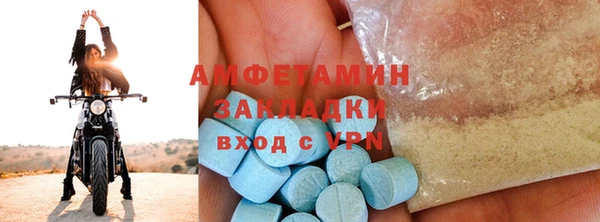 твердый Дмитровск