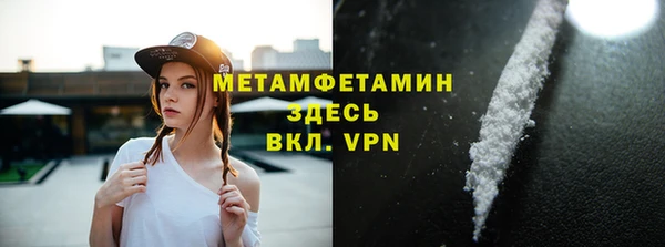 прущие грибы Ельня