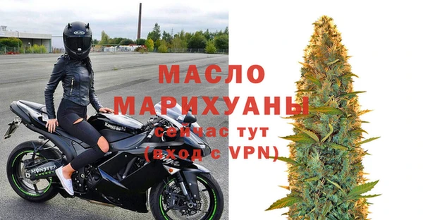 твердый Дмитровск